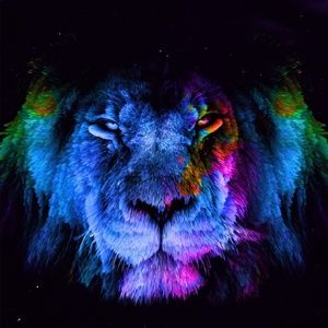 Meet your Posher, Ava